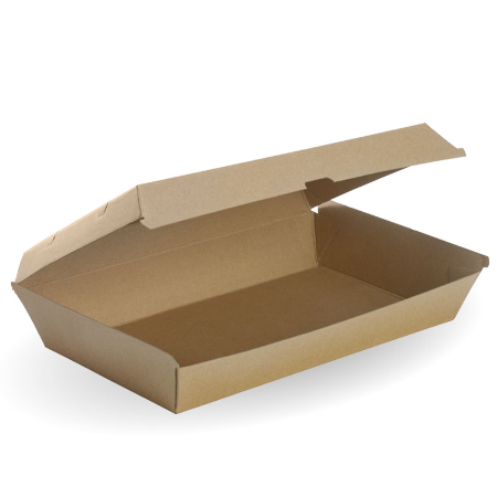 BioBoard Family Box - L290mm x W170mm x H85mm - Qty 100/ctn